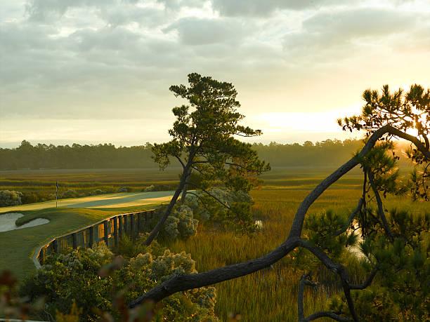 campo de golfe verde costeira em sunrise - golf golf course sunrise morning imagens e fotografias de stock