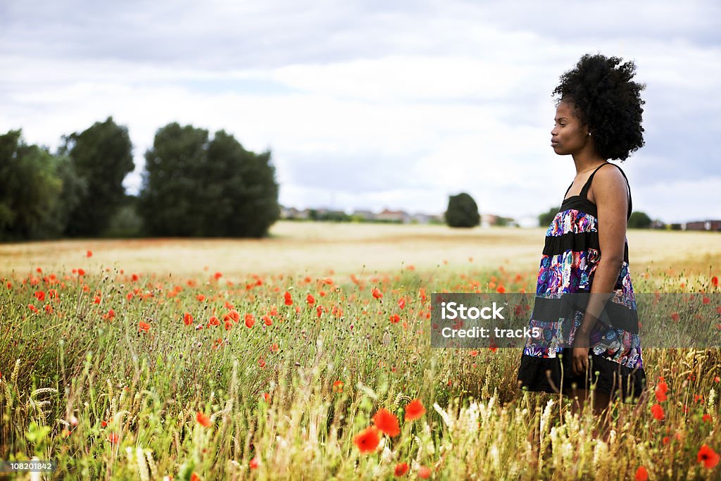 poppy fields A bright summer scene with a beautiful young model staring into the distance. Agricultural Field Stock Photo