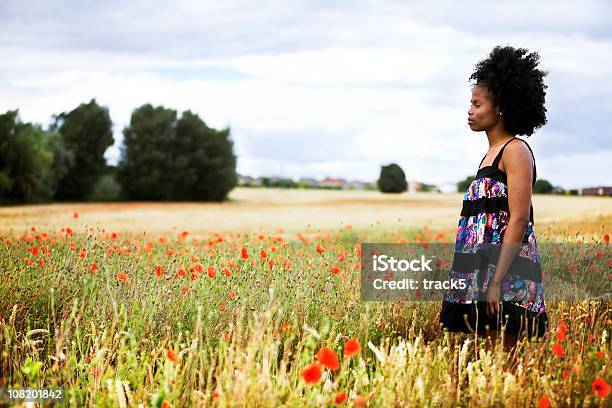 Poppy Fields Stock Photo - Download Image Now - Agricultural Field, Poppy - Plant, One Woman Only