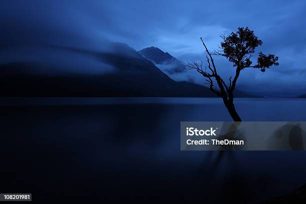 Lago Nuvoloso Scuro - Fotografie stock e altre immagini di Albero solitario - Albero solitario, Lago, Alberta