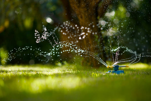 Garden Hose Sprinkler stock photo
