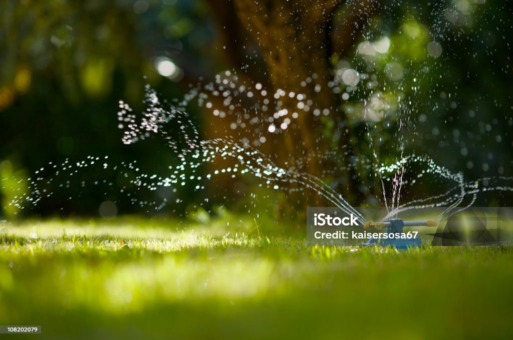 Mangueira de jardim de Sprinkler - Foto de stock de Aspersor royalty-free