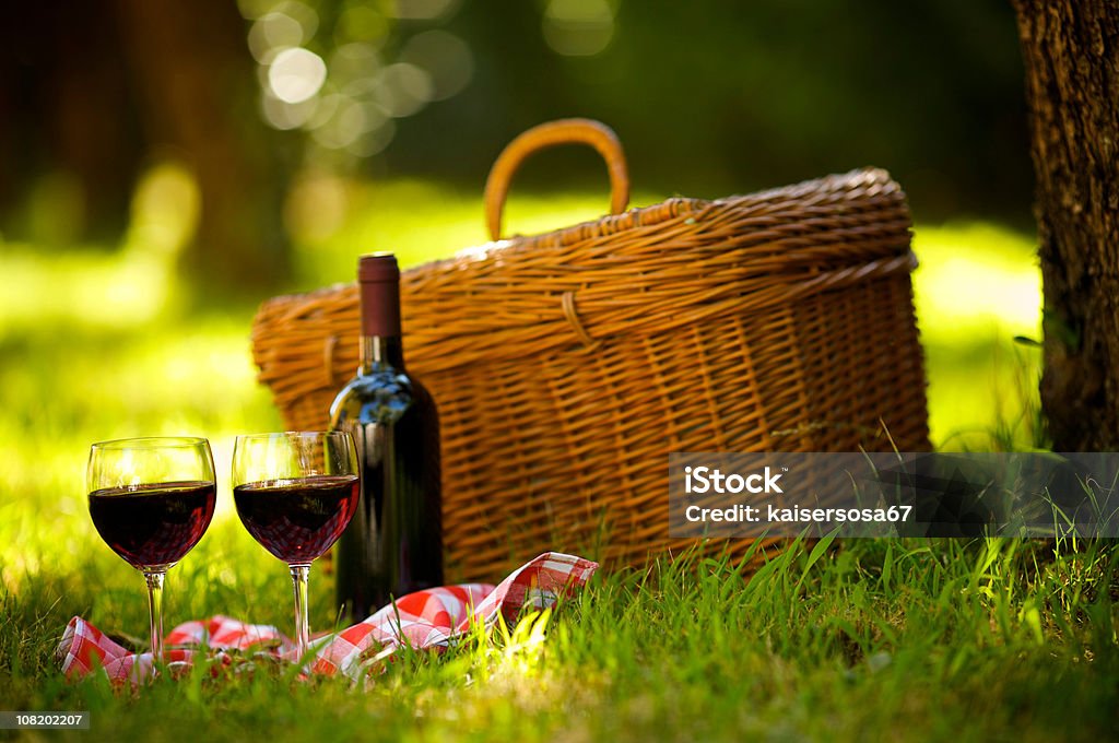 Two Glasses of Red Wine at Picnic  Picnic Stock Photo