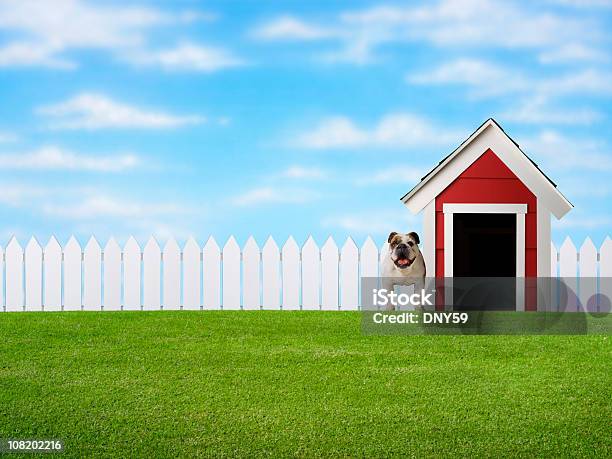 Buldogue Em Pé Ao Lado Em Campo Doghouse - Fotografias de stock e mais imagens de Canil - Equipamento para Animal de Estimação - Canil - Equipamento para Animal de Estimação, Cão, Jardim Particular