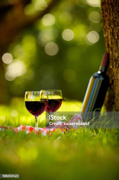 두 글라스잔 레드 와인 피크닉 와인병에 대한 스톡 사진 및 기타 이미지 - 와인병, 풀-벼과, 공원