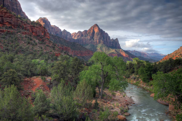 Landscape view of Zion with trees and water stock photo