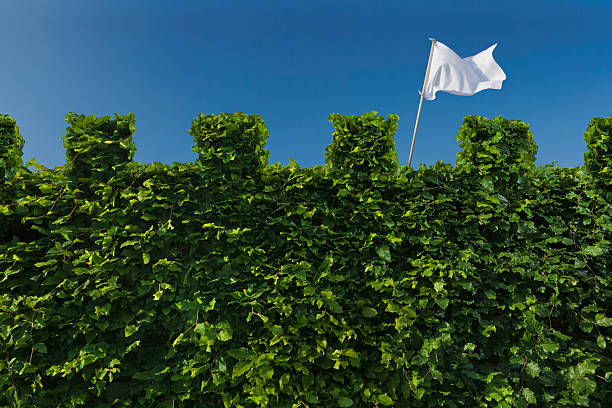 White Flag Raised above Turret Hedge stock photo
