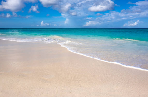 istock Beautiful and Tranquil Caribbean Beach 1082025084
