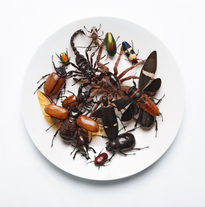 is bugs night - all you can eat!