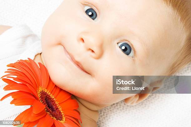 Kleines Kind Mit Gerbera Stockfoto und mehr Bilder von 0-11 Monate - 0-11 Monate, Baby, Blaue Augen