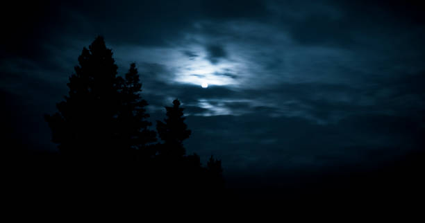 istock Moon and trees in the darkness. 108202789