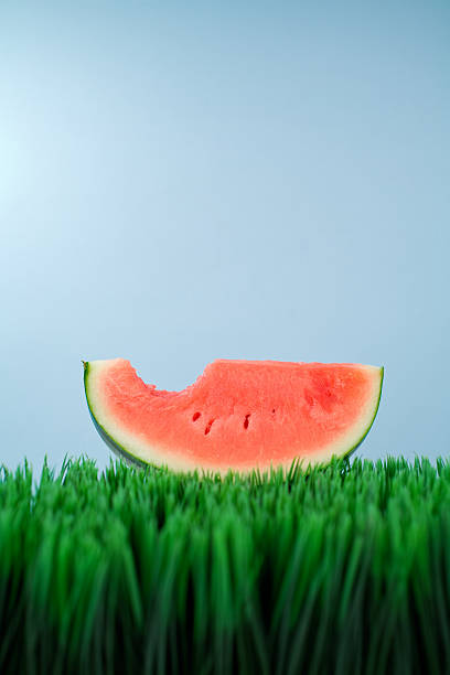 워터멜론 슬라이스 물다 gone - watermelon missing bite melon grass 뉴스 사진 이미지