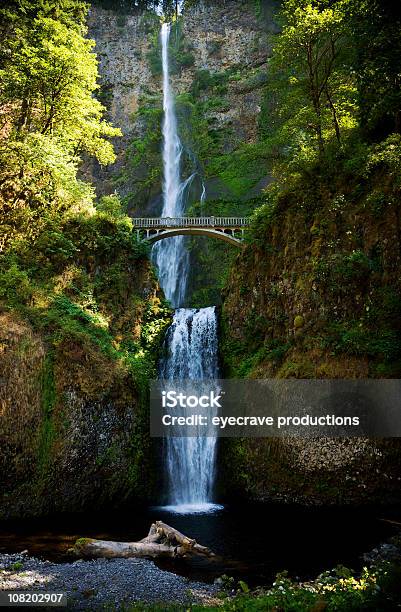Wodospad Multnomah W Wąwóz Rzeki Columbia - zdjęcia stockowe i więcej obrazów Architektura - Architektura, Bez ludzi, Drzewo