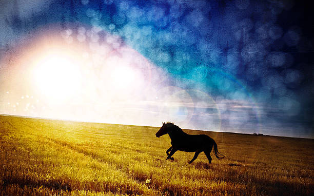 istock Night Mare - Horse galloping across field 108202988