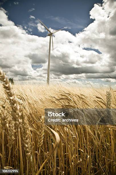 보리 위트 필드에 풍력발전기 백그라운드에서 0명에 대한 스톡 사진 및 기타 이미지 - 0명, 곡초류, 구름 풍경