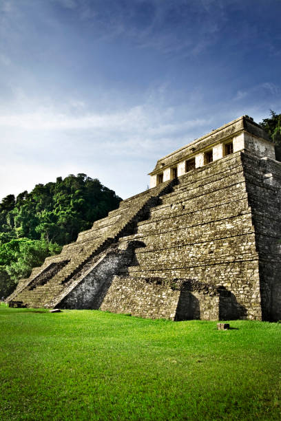 The ancient pyramids of Palenque in Mexico, surrounded by lush jungle. Iconic archaeological site showcasing Mayan culture and history. Travel, history, and adventure concept.