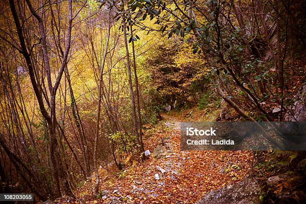 Camino En Olympus Senderos De Montaña E4 Foto de stock y más banco de imágenes de Bosque - Bosque, Monte Olympus, Aire libre