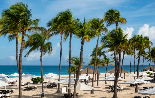 istock Idyllic Caribbean Beachfront Resort on Eagle Beach in Aruba 1082030666
