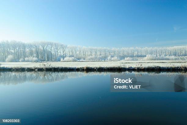 Paesaggio Invernale - Fotografie stock e altre immagini di Acqua - Acqua, Alberato, Albero