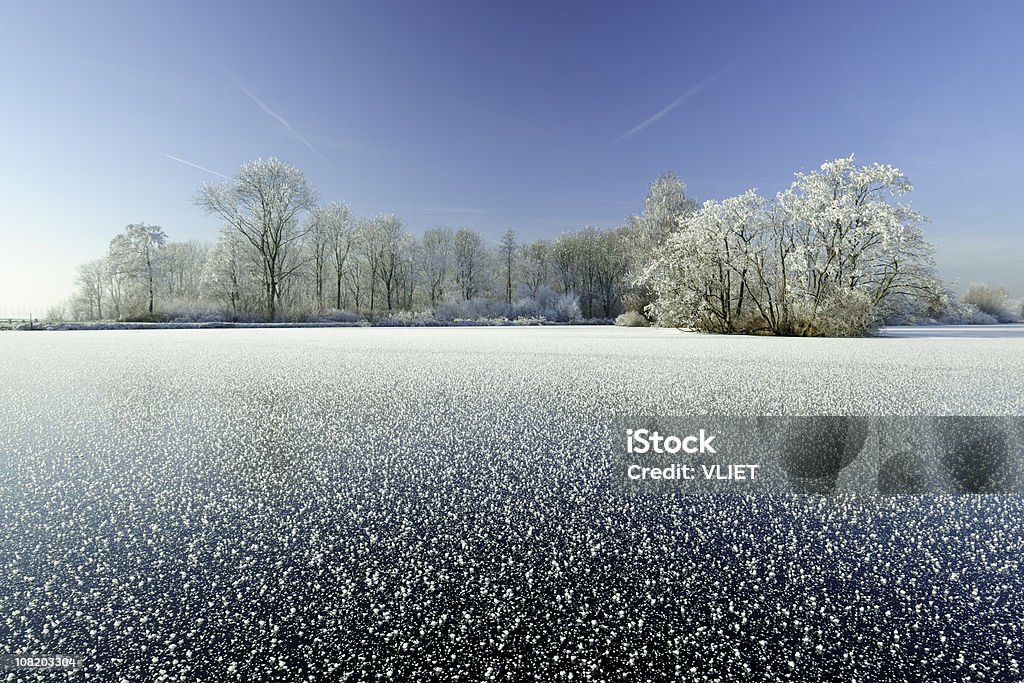 Paisagem de inverno na Holanda - Foto de stock de Arborizado royalty-free