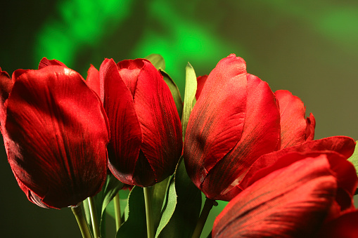 Silk red tulips agains a green background.