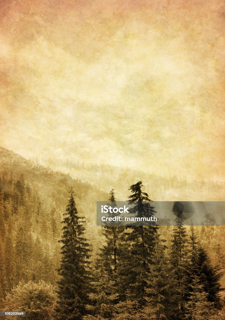 Bosque de pinos, tonos, Grungy - Foto de stock de Aire libre libre de derechos