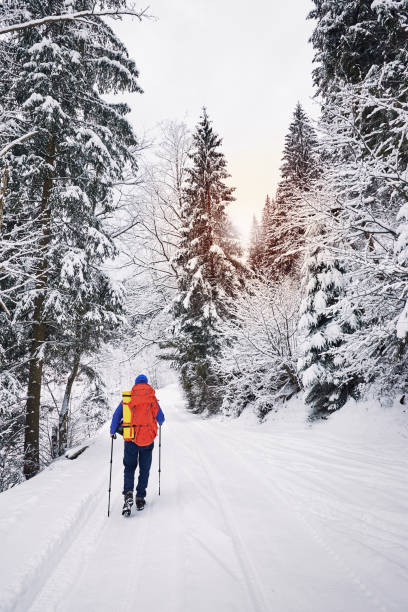 istock Trekking in winter with a backpack along the river in the canyon. 1082035806