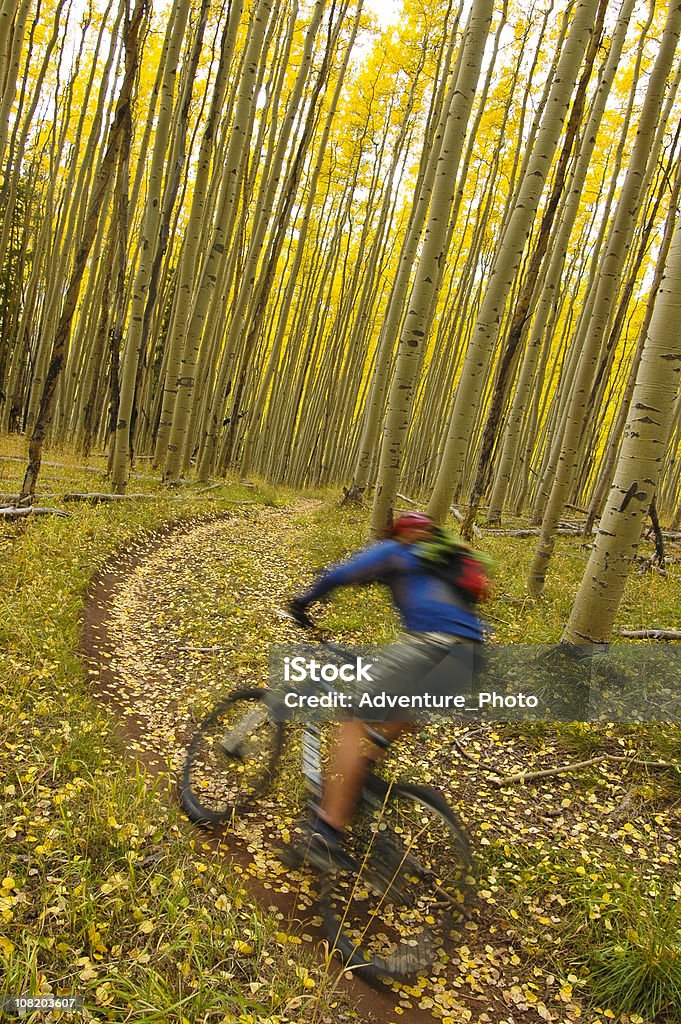 Man Mountain Biking Trail in Aspen Forest, Motion Blur  Adult Stock Photo