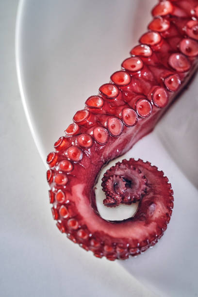 Octopus Tentacles with Seasalt and Fresh Salt