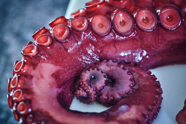 istock Octopus Tentacles with Seasalt and Fresh Salt 1082036320