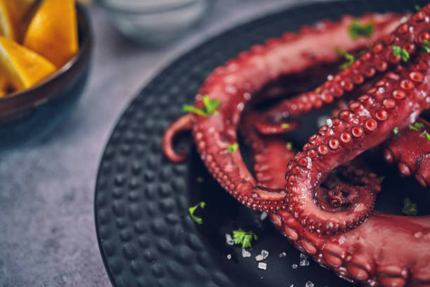 istock Octopus Tentacles with Seasalt and Fresh Salt 1082036332
