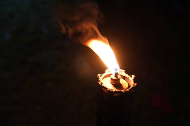 istock close up torch and fire in the night garden. 1082036532