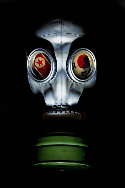 istock Gas Mask with North/South Korean Flags in Eye Sockets 108203843