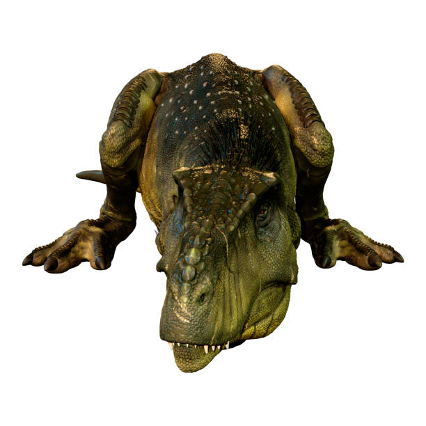 istock 3D illustration dinosaur Tyrannosaurus Rex on white 1082041480