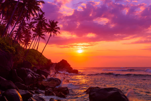 istock Beautiful tropical sunset with coconut palm tress on hill 1082043712