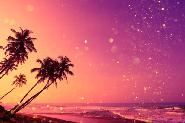 Coconut palm trees silhouettes and magic shiny golden glitter effect Tropical sunset beach with coconut palm trees silhouettes and magic shiny golden glitter effect sri lanka pattern stock pictures, royalty-free photos & images
