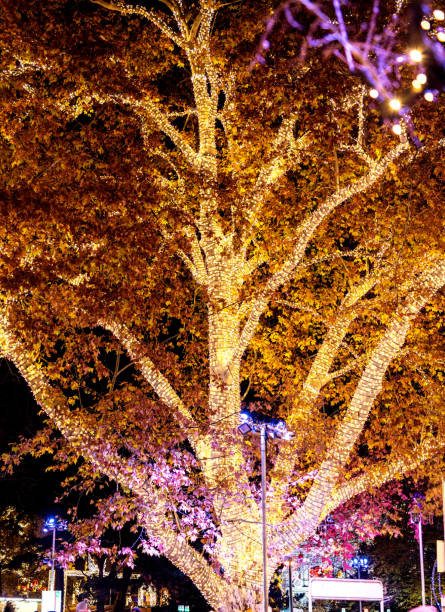 istock Beautiful christmas lights decoration on a tree 1082047376