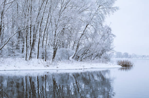 istock landscape with snowy trees frozen river with reflection in water 1082053938