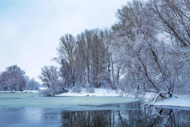 istock landscape with snowy trees frozen river with reflection in water 1082054892