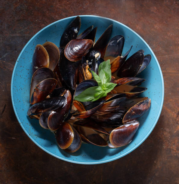 istock Seafood mussels in cream sauce 1082055666