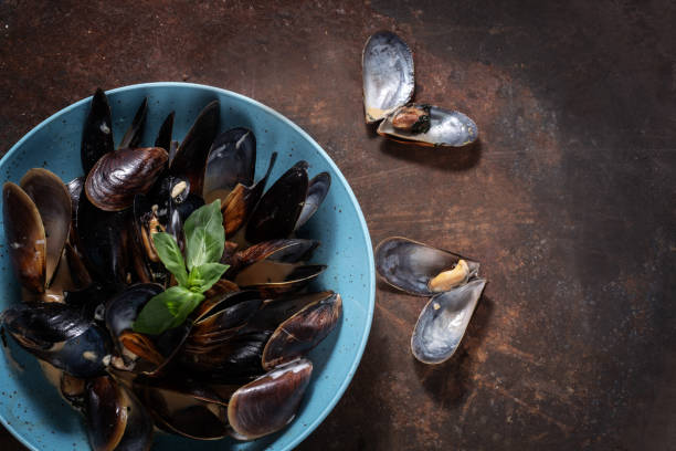 istock Seafood mussels in cream sauce 1082055694
