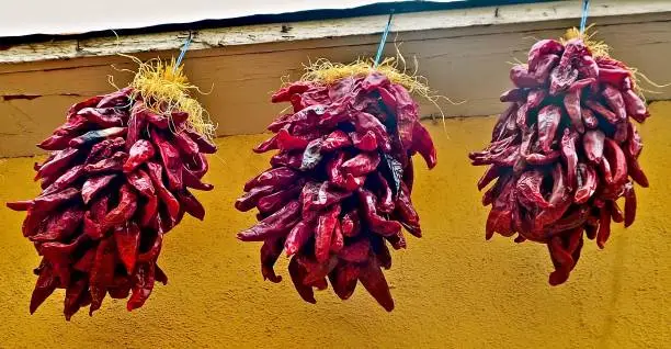 Dried red chile (chili) pepper ristras (Spanish for string) hang from a roof in New Mexico. Ristras can be used for indoor and outdoor decorations as well as for taking off individual dried peppers to grind for red chile powder.