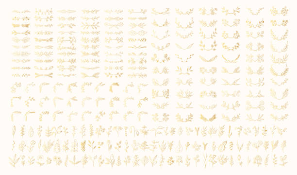 супер большая коллекция старинных ручной обращается ботанические золотые границы, цветочные разделители, цветы и ветви. вектор изолирован - crown frame gold swirl stock illustrations
