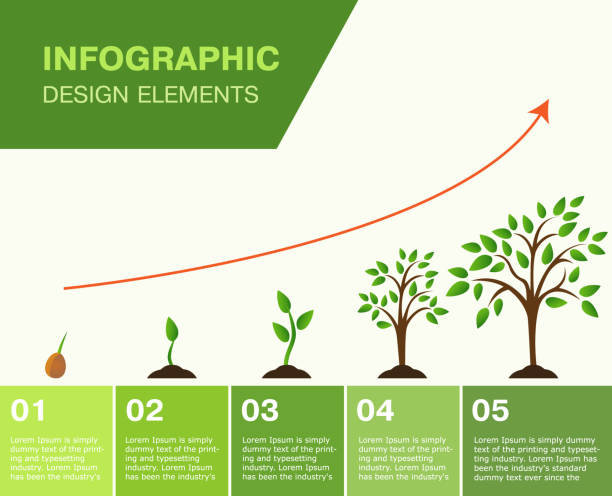 Infographic of planting tree. Seeds sprout in ground. Infographic-growing tree, the growth of Finance. number of people stock illustrations