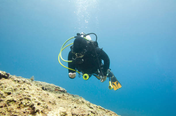 istock Woman Scuba Diving In Sea 1082071732