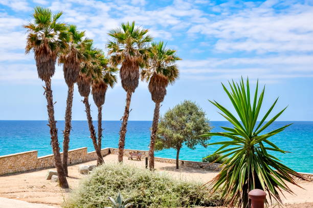 istock Palm trees on Tarragona sea promenade, Spain 1082074552