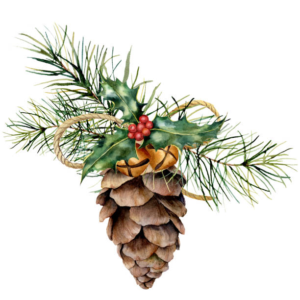 クリスマスの装飾が施された円錐形の水彩松。手描きクリスマス ツリー ブランチ、鐘、ホリー、クラフト リボンと松ぼっくりの設計のための白い背景の分離または印刷。休日の植物。 - pine tree pine cone branch isolated点のイラスト素材／クリップアート素材／マンガ素材／アイコン素材