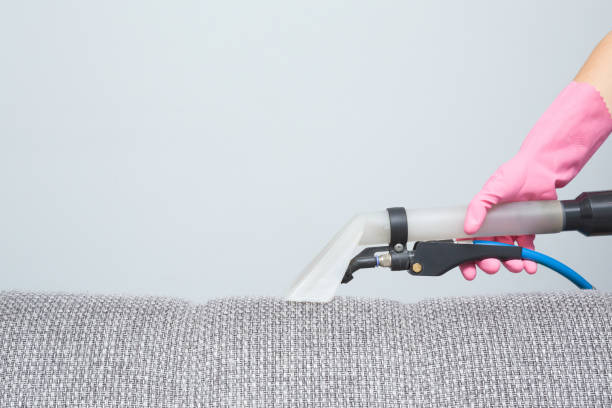 istock Dry cleaner's employee hand in protective glove cleaning sofa with professionally extraction method. Spring regular cleanup. Closeup. Empty place for text, company name or logo on gray background. 1082079936