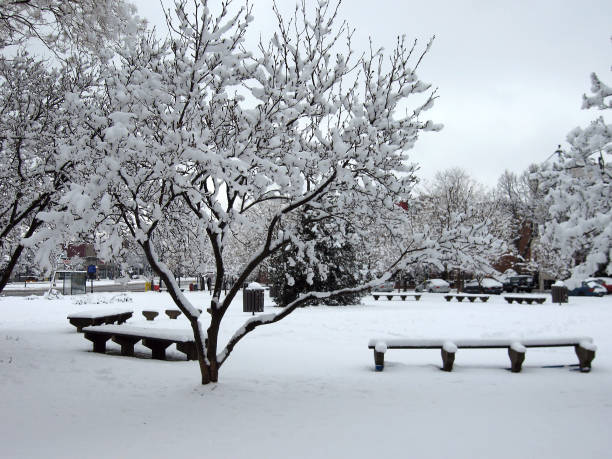 Snowy Neighborhood Park