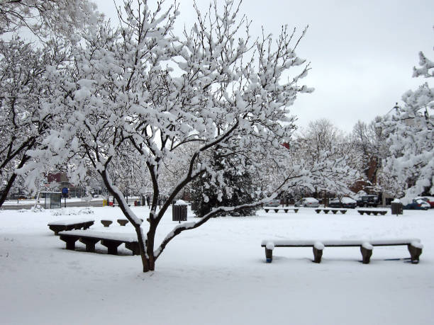 Snowy Neighborhood Park stock photo